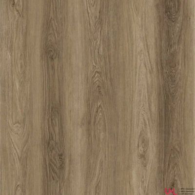 SPC ламинат Alta Step Nativo Дуб Летний SPC 2209 34 класс толщина 4.3 мм с фаской замковый 3.069 м2