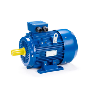 Электродвигатель АИС 100LB4 (3 кВт) IM B3