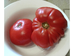 Семена томата Тёрки / *нов 2025