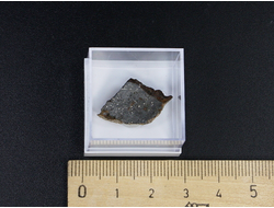 Метеорит "Царёв" в пластиковом боксе, Россия, Волгоградская обл (15*14*4 мм, 1,8 г) №23451