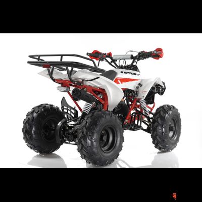 Квадроцикл MOTAX ATV Raptor LUX 125 сс Бензиновый