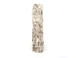 Белый Шалфей пучок 22 см.