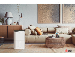 Осушитель воздуха серии PACIFIC Villa RD-PC40-E