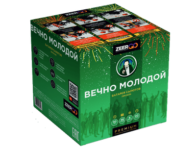 Салют Z2091 ZEERGO