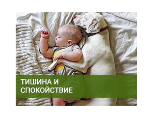 Купить ошейник Антилай для Собак | Trainertec