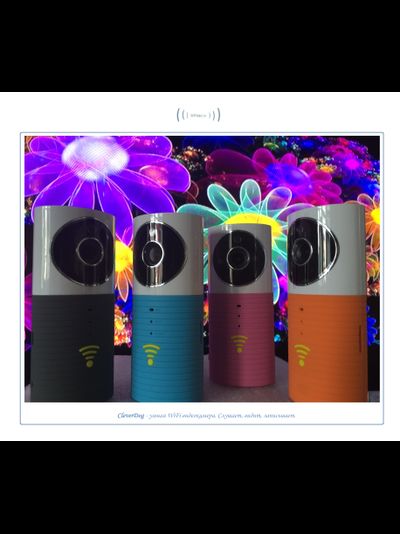 Видеоняня /WiFi видеокамера CleverDog с DVR