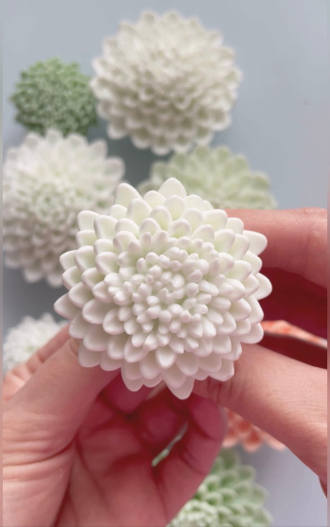 ХРИЗАНТЕМА