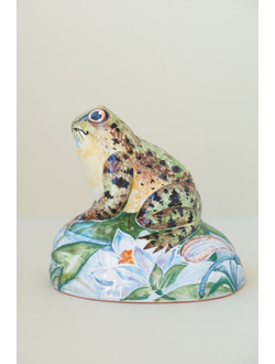 Лягушка на камушке