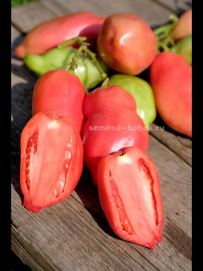 Томат Брикодейки Минусинские, 10 шт