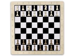 Настенная игра «2 в 1 шашки + шахматы»