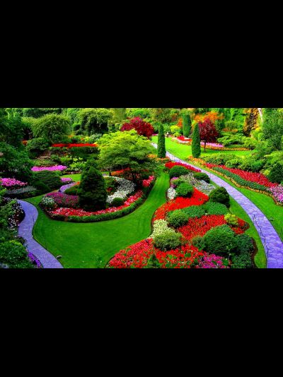 Ландшафтный дизайн