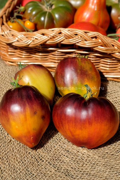 Томат Ананасный Сержант, 10 шт