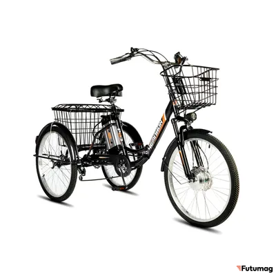 Электровелосипед трицикл РВЗ Чемпион (RVZ-HZ-01) черный