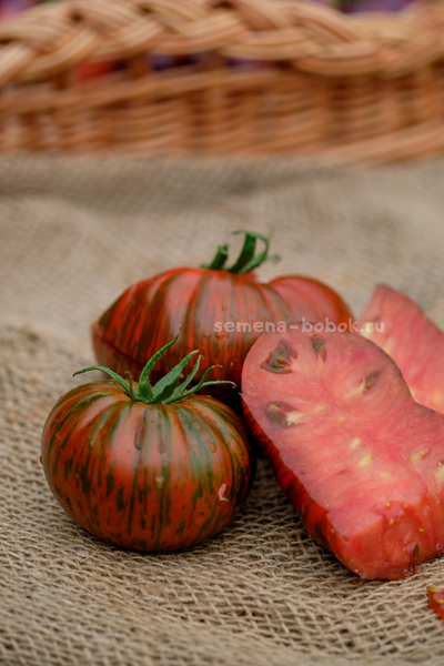 Томат Shake the Disease (Исцелись), 10 шт