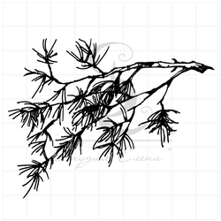 Штамп для скрапбукинга Ветка кедра