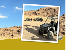 BUGGY-SAFARI AM MORGEN (2-STÜNDIGES PROGRAMM)