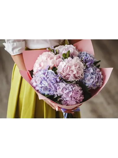 7 нежных гортензий