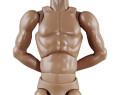 Высокое тело без шеи с мускулистыми руками - Standart Muscle Arm Tall Body (BD008) - COOMODEL