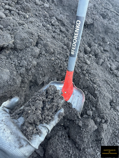 чернозем луговой