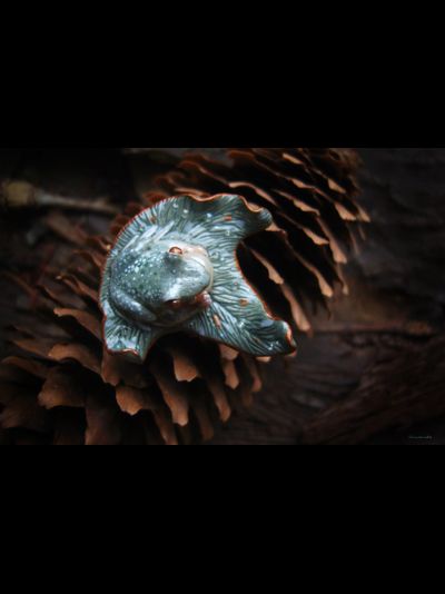 "Аларлимбская лягушка", эльфийская брошь в стиле фэнтезийного арт-нуво