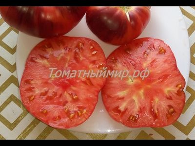 Томат Лазурный гигант (Azure Giant)