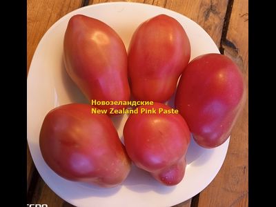 Томат Новозеландский розовый (New Zealand Pink Paste)
