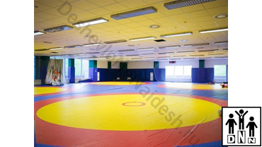 борцовский ковер