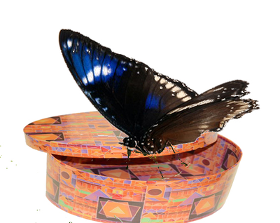 Салют из 9 тропических бабочек МИНИ  бабочки 5 - 10 см