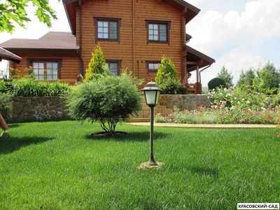 Рулонный газон Пикник-дачный