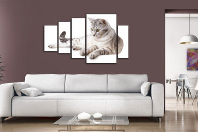 Модульная картина "Наблюдение"