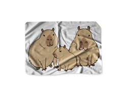 Плед Капибара, Kapibara-san №3