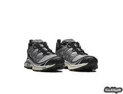 SALOMON XT-6 Expanse Alloy Quiet Shade (40-44)