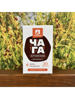 Чага Алтайская 30 капсул