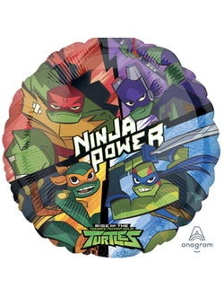 круг фольга "Черепашки-Ниндзя Эволюция" 17»/43 см