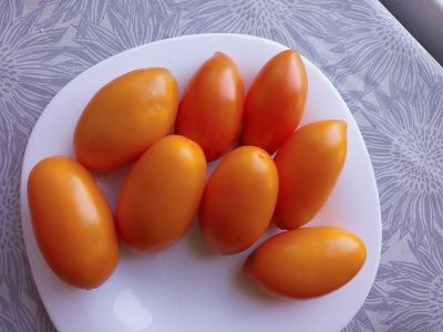 Томат Золотая рыбка