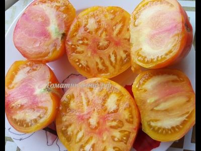 Томат Король красоты (Beauty King)