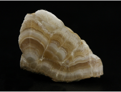 Арагонит, почковидные агрегаты, полировка, Россия, КЧР, Урупский район (28*17*16 мм, 7 г) №37733