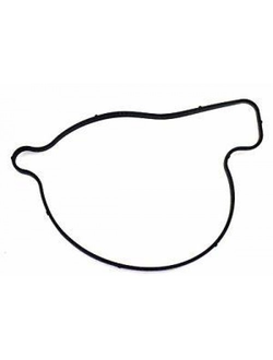 Прокладка крышки помпы оригинал BRP 420651190/420651191 для BRP LYNX/Ski-Doo/Can-Am