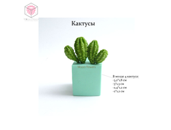 "Кактусы" Силиконовый молд