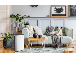 Осушитель воздуха серии CARISMA Loft RD-CR20-E