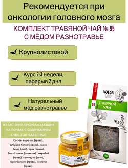 Травяной чай Волгаладь № 95 с медом разнотравье, лечебный комплект, 70/140 г