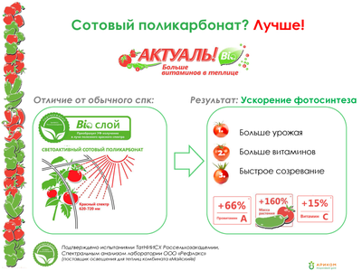 Сотовый поликарбонат Актуаль Bio (Казань) 0,6 кг/м2