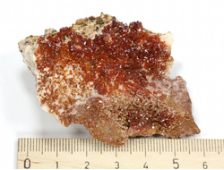 Ванадинит, кристаллы на породе, Марокко (63*45*21 мм, 58 г) №35880