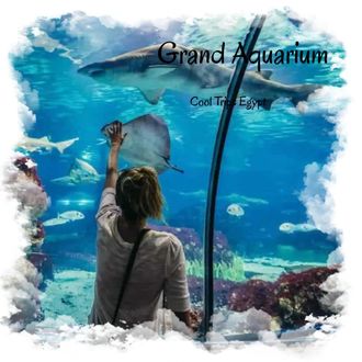 GRAND AQUARIUM