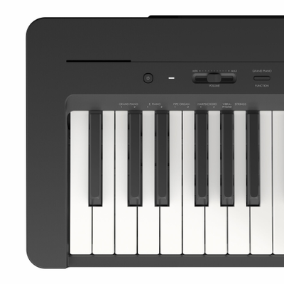 Yamaha P-143BTB