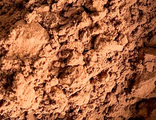Какао-порошок Bensdorp Callebaut 22-24%, 1 кг
