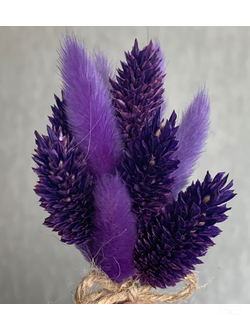 Сухоцветы, набор 33