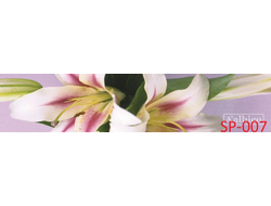 SP-007 ЛИЛИИ Глянцевая стеновая панель ALBICO 2800*610*6мм *