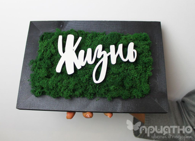 ЖИВАЯ ЭКО-КАРТИНА 1049