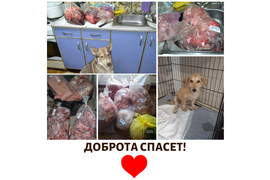 29.06 мы передали наши с вами подарки подопечным куратора Анны Агапитовой. За период с 02.06 по 25.06 сумма по благотворительным купонам составила 2101 руб. Всем, кто принимает участие в акции, от сободеток большое спасибо!